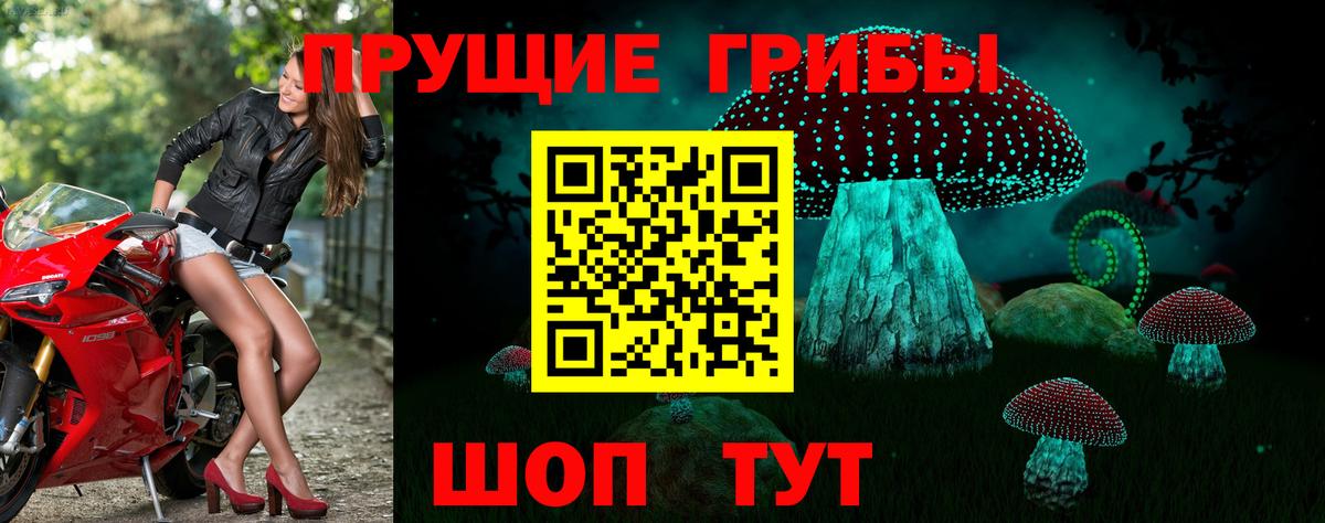 Галлюциногенные грибы мухоморы Вологда